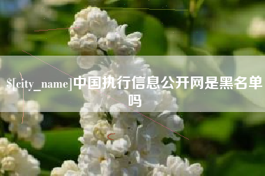 张掖中国执行信息公开网是黑名单吗