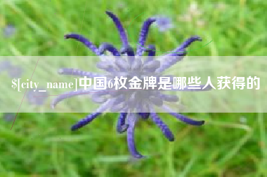 张掖中国6枚金牌是哪些人获得的