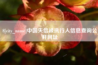 张掖中国失信被执行人信息查询公开网址