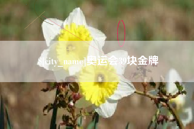 张掖奥运会39块金牌