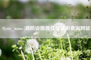 张掖消防设施操作员证书查询网址