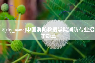 张掖中国消防救援学院消防专业招生简章