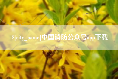张掖中国消防公众号app下载