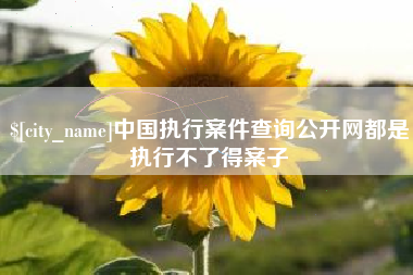 张掖中国执行案件查询公开网都是执行不了得案子
