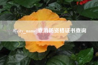 张掖查消防资格证书查询