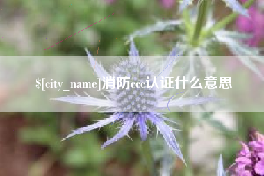 张掖消防ccc认证什么意思