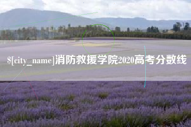 张掖消防救援学院2020高考分数线