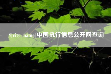 张掖中国执行信息公开网查询