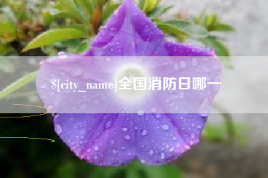 张掖全国消防日哪一