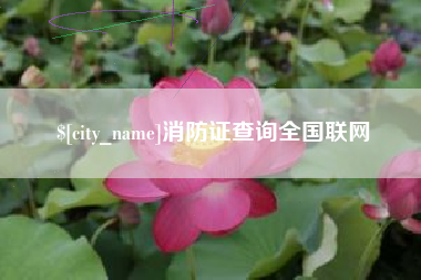 张掖消防证查询全国联网