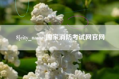 张掖国家消防考试网官网