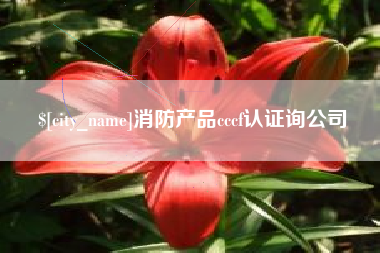 张掖消防产品cccf认证询公司