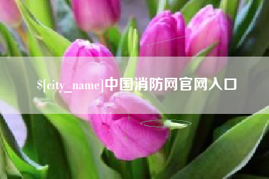 张掖中国消防网官网入口