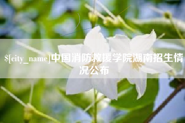 张掖中国消防救援学院湖南招生情况公布