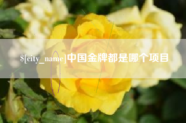张掖中国金牌都是哪个项目