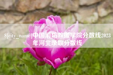 张掖中国消防救援学院分数线2023年河北录取分数线