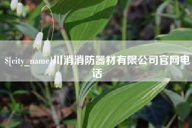 张掖川消消防器材有限公司官网电话