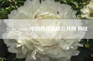 张掖中国执行信息公开网 网址