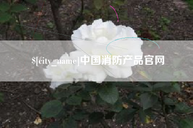 张掖中国消防产品官网