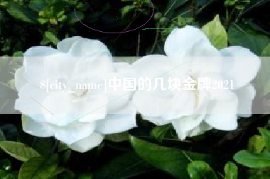 张掖中国的几块金牌2021