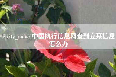 张掖中国执行信息网查到立案信息怎么办