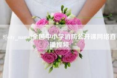 张掖全国中小学消防公开课网络直播视频