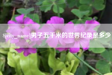 张掖男子五千米的世界纪录是多少