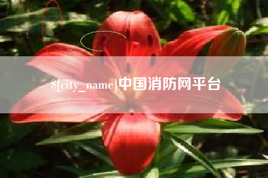 张掖中国消防网平台