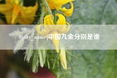 张掖中国九金分别是谁
