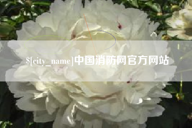 张掖中国消防网官方网站