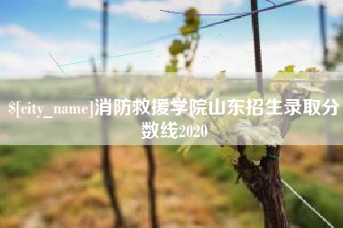 张掖消防救援学院山东招生录取分数线2020