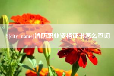 张掖消防职业资格证书怎么查询