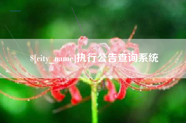 张掖执行公告查询系统