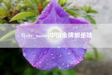 张掖中国金牌都是啥