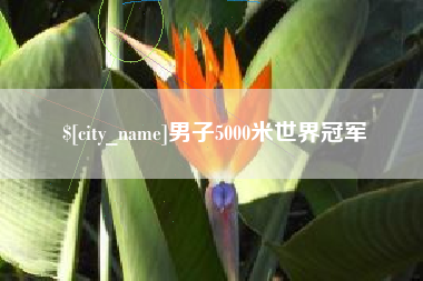 张掖男子5000米世界冠军