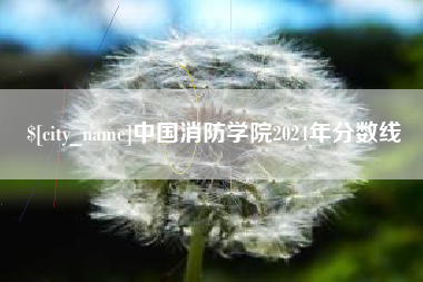 张掖中国消防学院2024年分数线