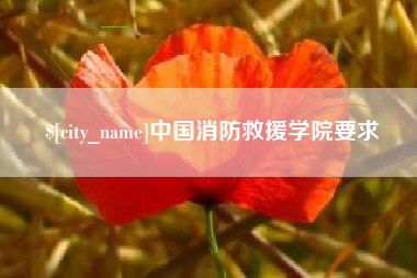 张掖中国消防救援学院要求