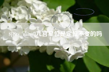 张掖九宫星位是定位不变的吗