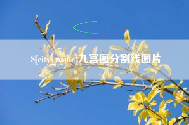 张掖九宫图分割线图片