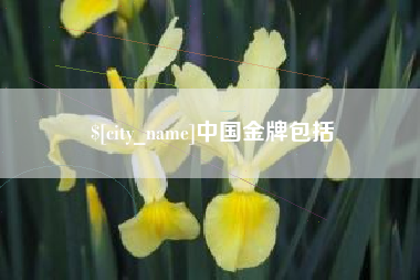 张掖中国金牌包括