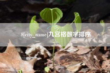 张掖九宫格数字排序