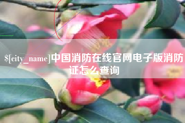 张掖中国消防在线官网电子版消防证怎么查询