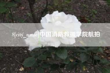 张掖中国消防救援学院航拍