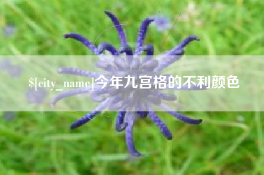 张掖今年九宫格的不利颜色
