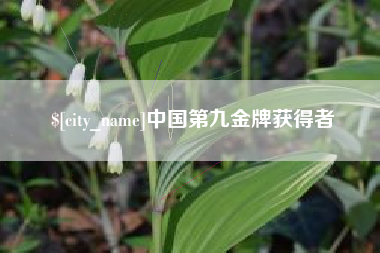 张掖中国第九金牌获得者