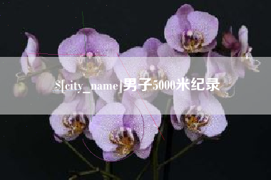 张掖男子5000米纪录