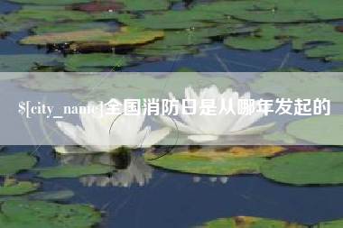 张掖全国消防日是从哪年发起的