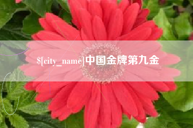 张掖中国金牌第九金