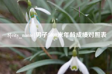 张掖男子5000米年龄成绩对照表