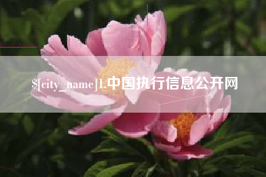 张掖1.中国执行信息公开网